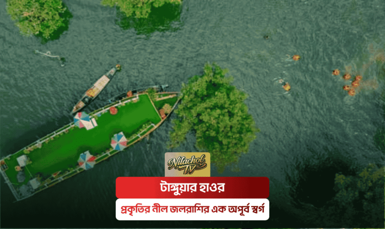 টাঙ্গুয়ার হাওর — প্রকৃতির নীল জলরাশির এক অপূর্ব স্বর্গ Nilachol TV Travel Blog